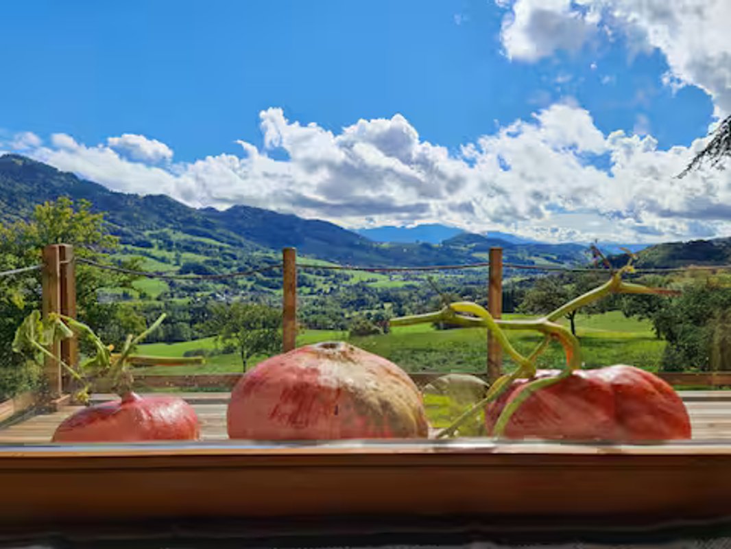 Refuge insolite avec vue panoramique à Habère-Lullin (7)