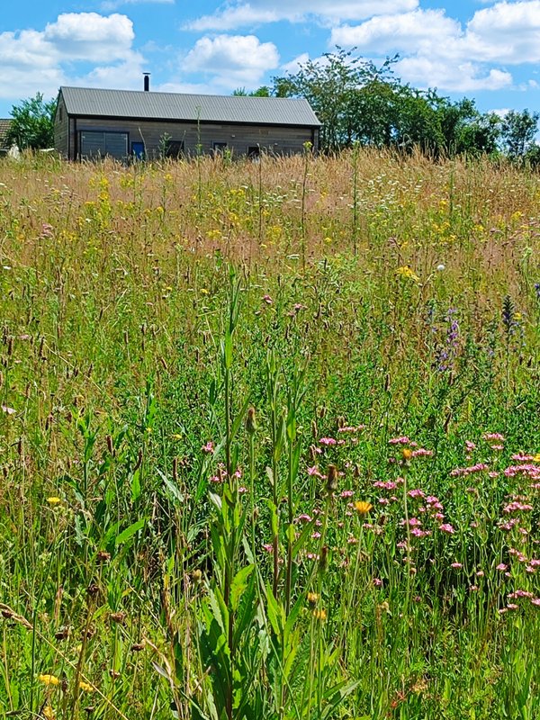 Cabane de l'Ecureuil & Bain nordique à Le Controis-En-Sologne (9)
