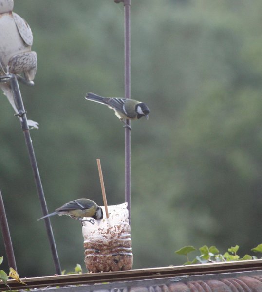 Hébergement AbracadaRoom : CABANE PERCHÉE CHEZ YAHMZ - Image 12