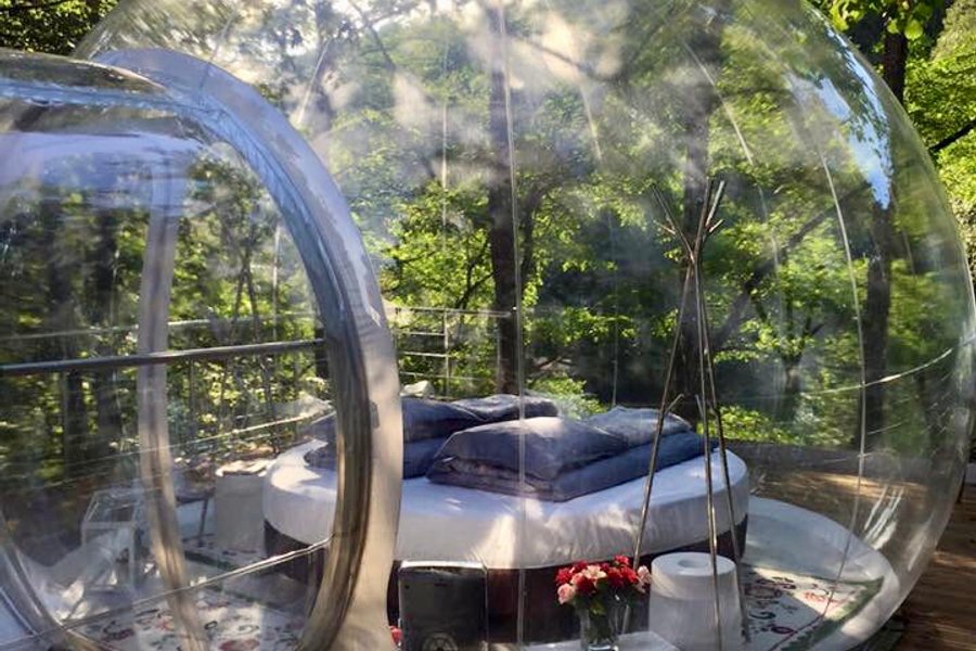 La Bulle — photo 2