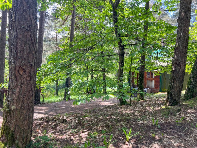 Hébergement AbracadaRoom : La Yourte Contemporaine - Image 2