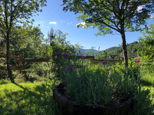 Domaine AbracadaRoom : Par les monts étoilés - Image 2