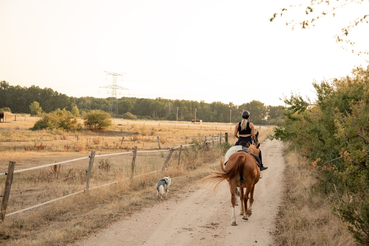 Homnest - Tiny house dans l'Allier - Cheval à Espinasse-Vozelle (29)