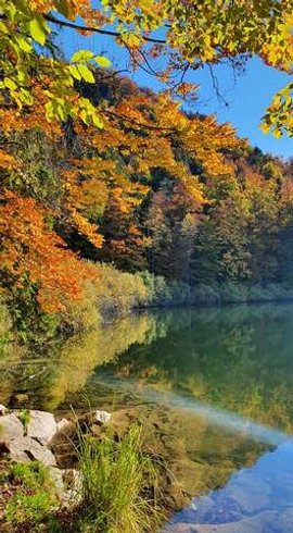 Hébergement AbracadaRoom : Les Logettes de Caroline, Ecolodge & Bain Nordique - Image 22