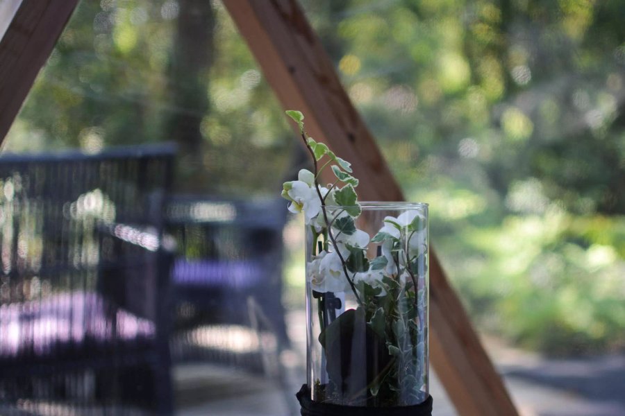 La Géode — photo 2