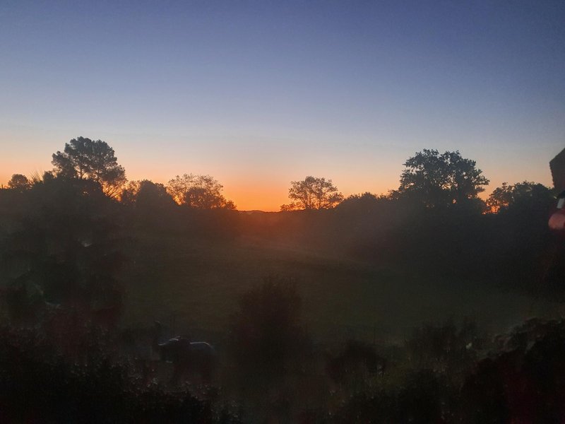 Domaine AbracadaRoom : Bali'Bulle - Image 5