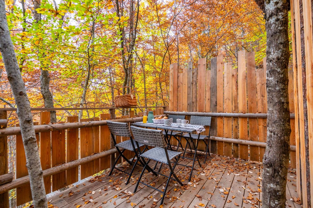  à Saint Léger Les Mélèzes (4)