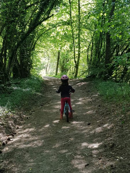 Domaine AbracadaRoom : Au Bois du Moulin - Image 12