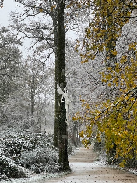 Domaine AbracadaRoom : Loire Valley Lodges - Hôtel - Image 2