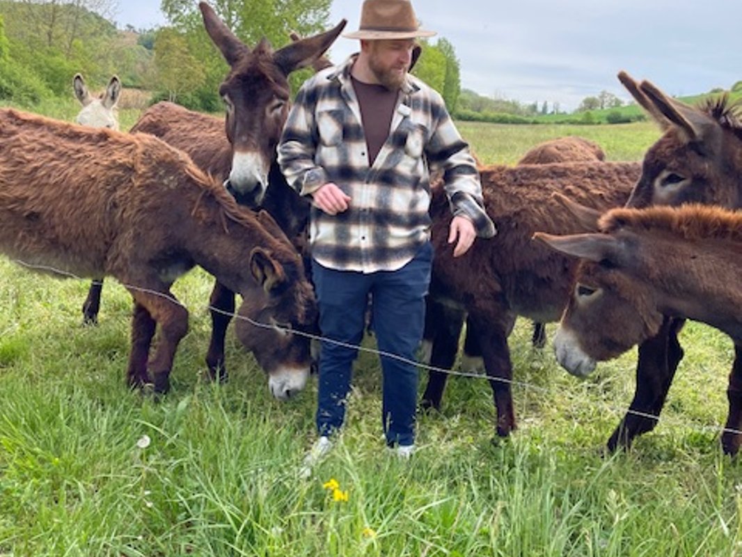 Chalet Estive au cœur de la ferme à Saint Ybars (16)