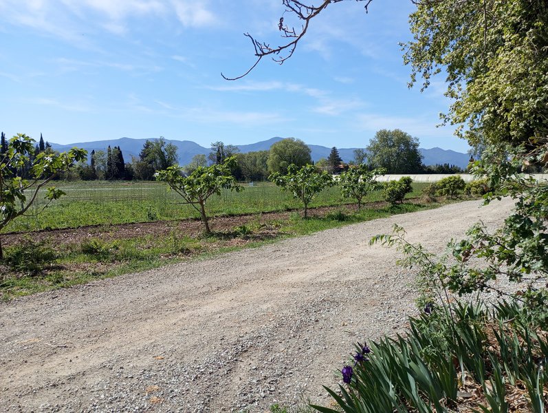 Hébergement AbracadaRoom : La Roulotte Spa Gitane - Image 27