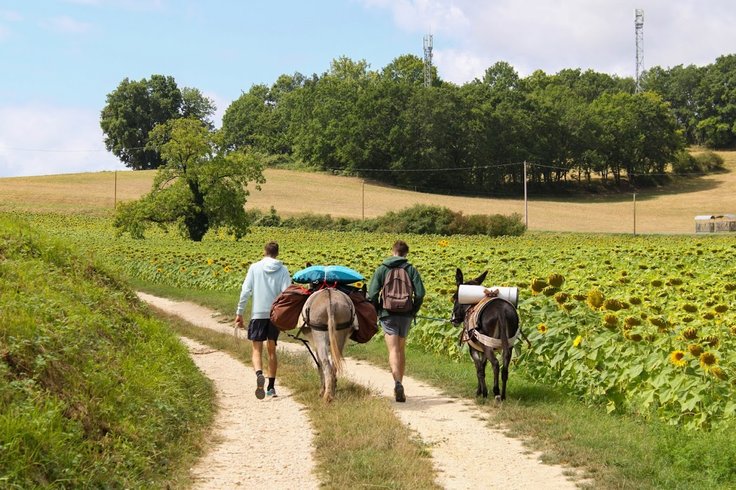 Domaine AbracadaRoom : BOUCLES D'ANES - Image 1