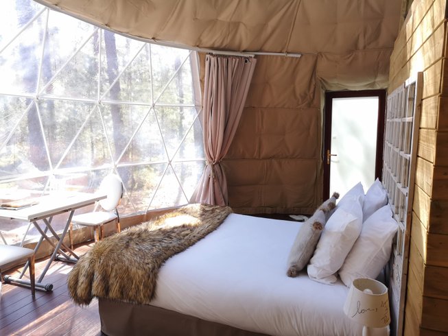 Hébergement AbracadaRoom : Bulle Suite des Chênes - Image 11