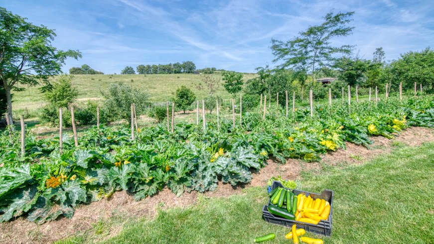 Domaine AbracadaRoom : Cabanes Trésors de Campagne - Image 25