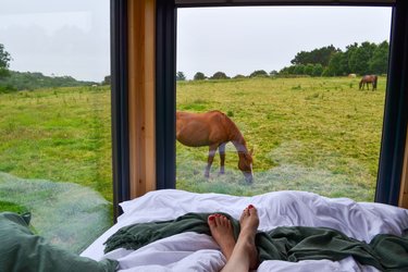 Parcel Tiny House - à 15min de La Torche à Plonéour-Lanvern (3)