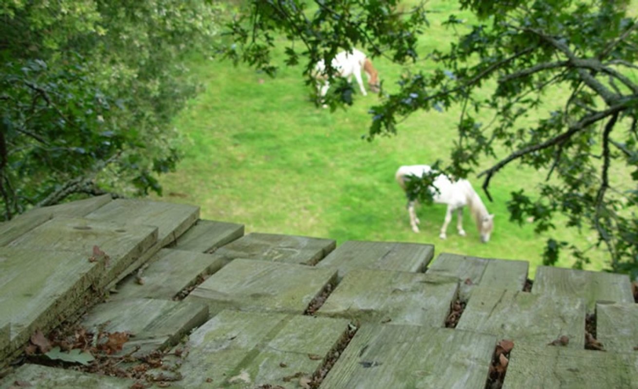 La Cabane perchée Nijal à Ploemel (5)