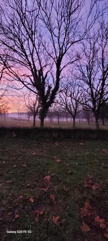 Domaine AbracadaRoom : Camping le Sorbier - Image 7