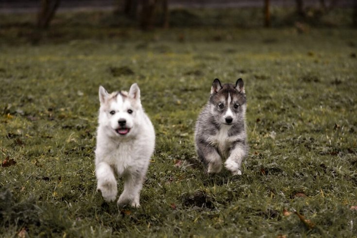 Hébergement AbracadaRoom : Le Ranch Normand - Image 18