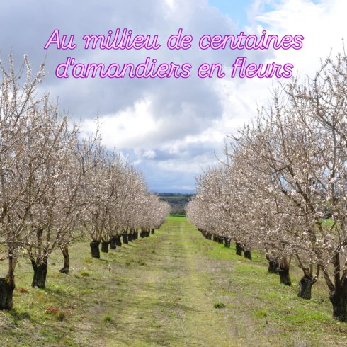 Hébergement AbracadaRoom : La bulle Ico - Image 12