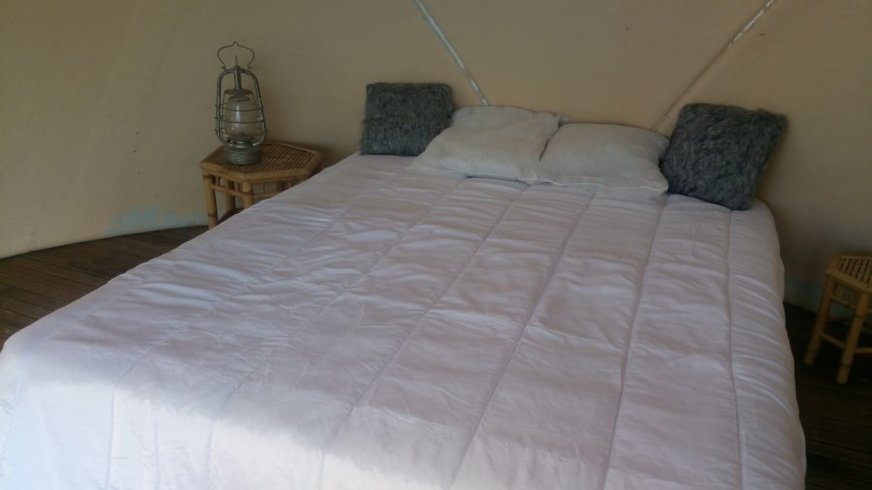 Hébergement AbracadaRoom : Hutte au milieu des wallabies n°4 - Image 2