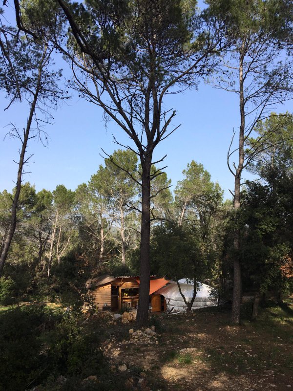 Yourte en Provence & piscine à Besse Sur Issole (29)