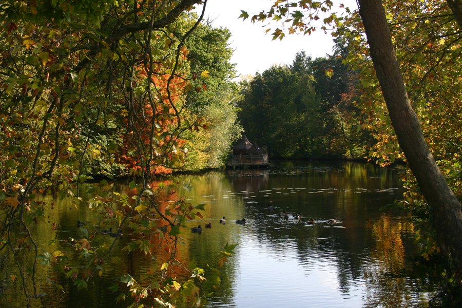 Hébergement AbracadaRoom : Cabane Flottante Dérive - Image 6