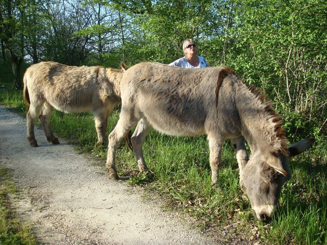 Domaine AbracadaRoom : Domaine des Calosses - Image 13