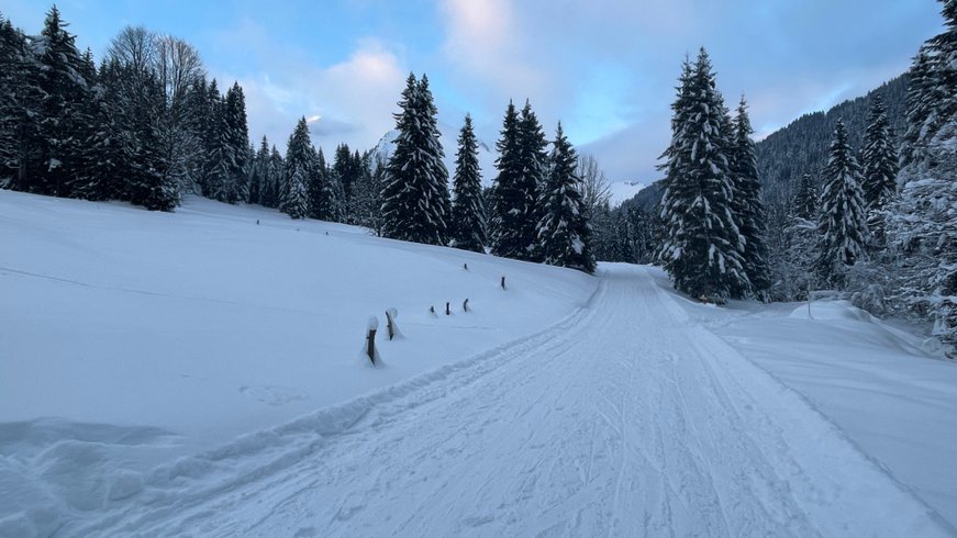 Domaine AbracadaRoom : Chalet d'alpage de Beauregard - Image 4