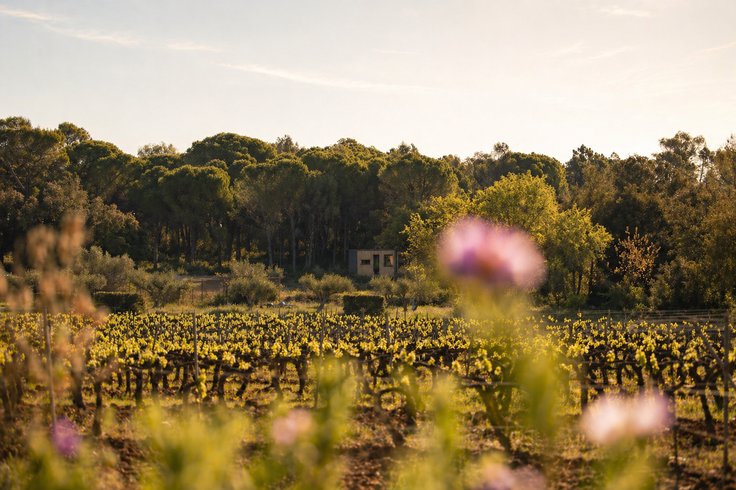 Hébergement AbracadaRoom : Homnest -Mélodie Provençale en Sainte-Baume - Image 22