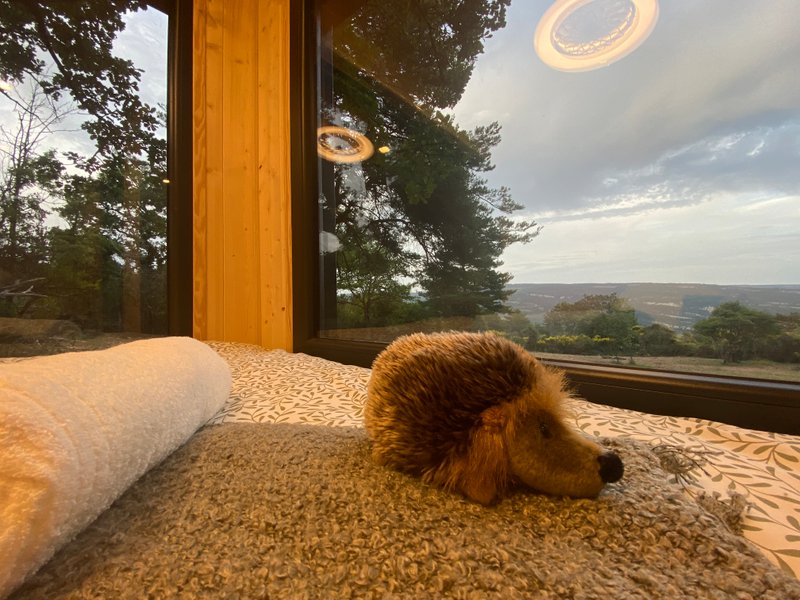 Domaine AbracadaRoom : Homnest (Viens) - Image 16