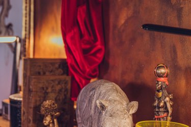 La Suite Voltige à Muidorge (3)