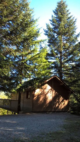 Hébergement AbracadaRoom : Cabane Séquoia 2 - Image 3