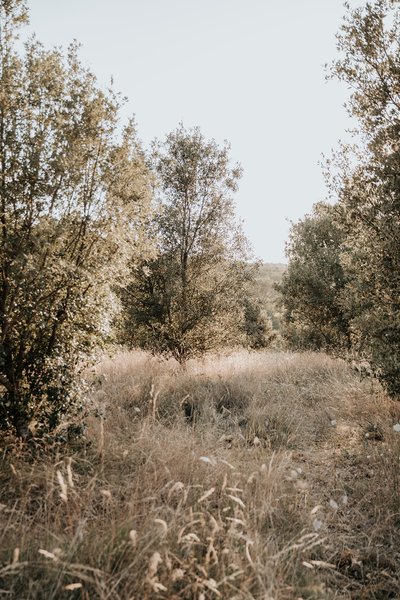 Domaine AbracadaRoom : Domaine Saint-Amand - Image 8