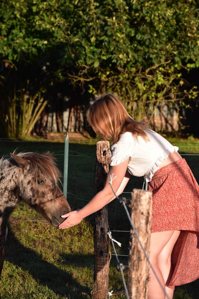 Domaine AbracadaRoom : La Scarabane des Chassaing - Image 3