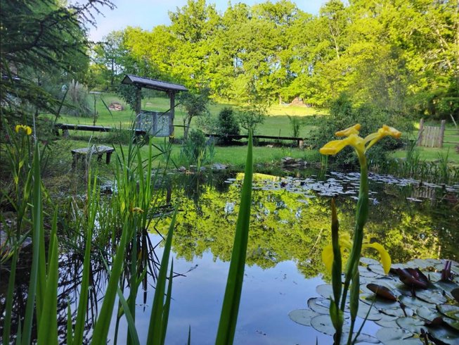 Hébergement AbracadaRoom : La Roulotte de l'Echappée Sauvage - Image 7