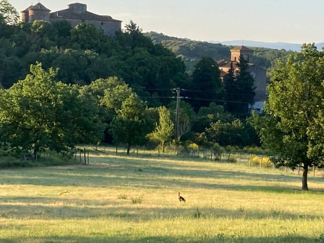 Domaine AbracadaRoom : Cabanes Trésors de Campagne - Image 20