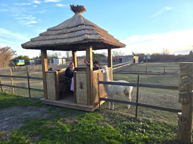 Domaine AbracadaRoom : La Ferme Pacifique Camargue - Image 1