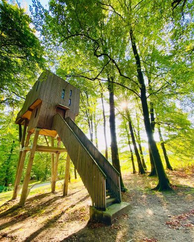 Hébergement AbracadaRoom : Cabane dans les arbres n°1 - Image 1