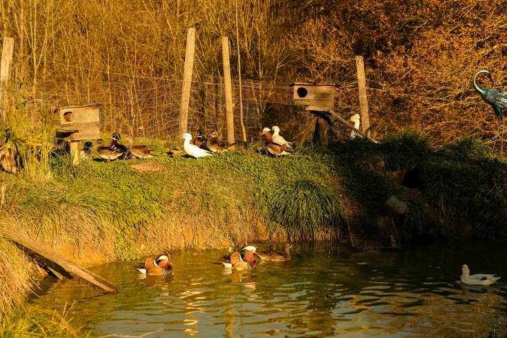 Hébergement AbracadaRoom : Homnest - Prairie des Âmes Heureuses - Occitanie - Image 27
