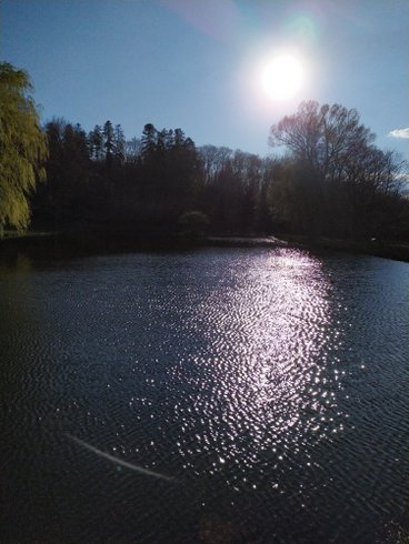 Domaine AbracadaRoom : Glamping Domaine de Barret - Image 25