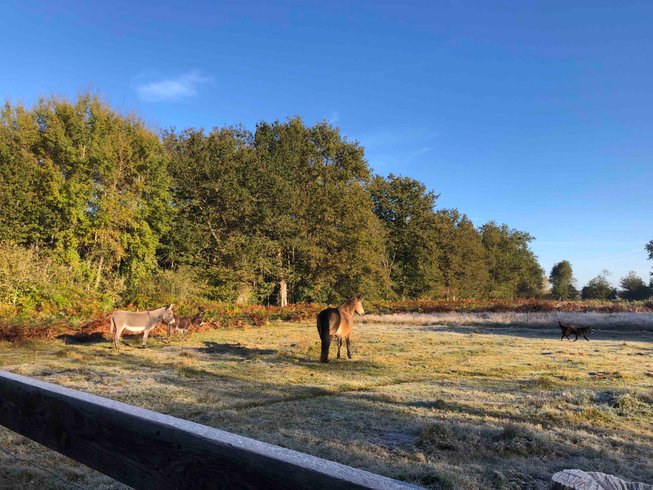 Domaine AbracadaRoom : O z'insolites - Image 9