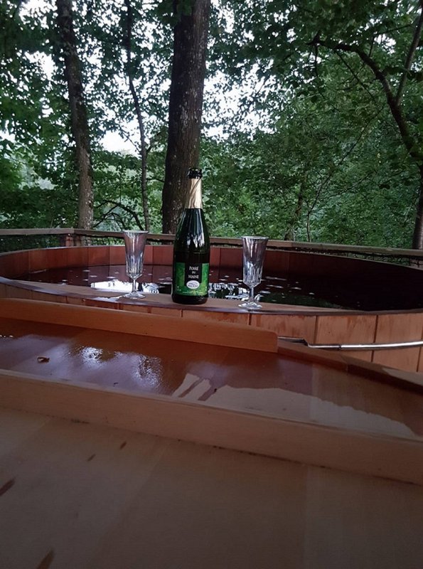Cabane Lov'Nid Spa à La Baconnière (4)