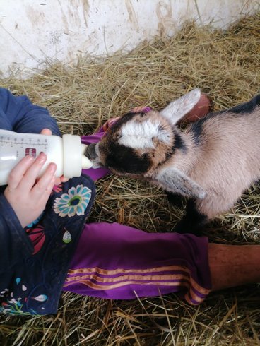 Domaine AbracadaRoom : Ecodomaine Rêver Ailleurs - Image 12