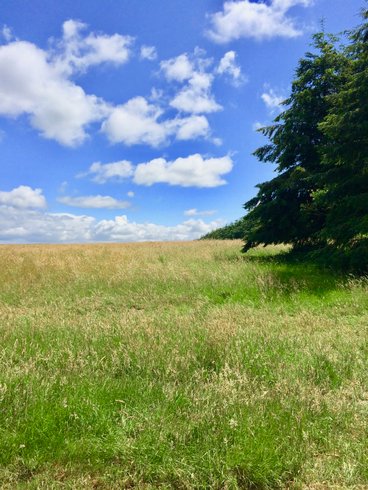 Domaine AbracadaRoom : Nuit Sauvage - Image 1