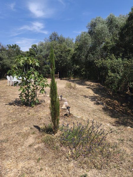 Domaine AbracadaRoom : Casa Ciocciu - Image 3