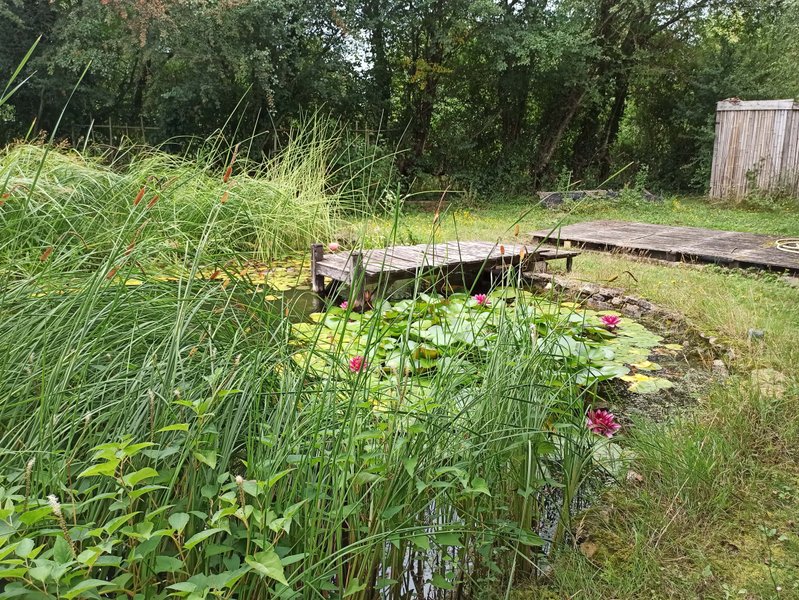 Domaine AbracadaRoom : La Ferme - Image 4