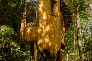 Coucoo Grands Chênes