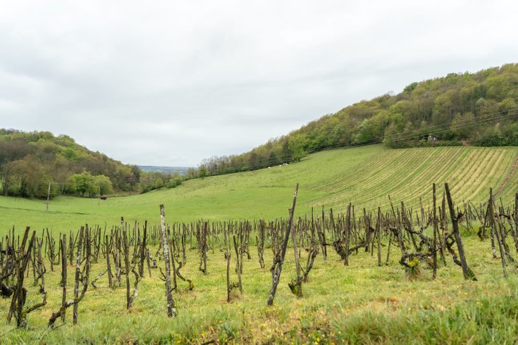 Hébergement AbracadaRoom : Parcel Tiny House - montagnes et vignes dans l'AOC du Bugey - Image 63