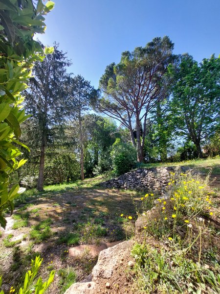 Domaine AbracadaRoom : L'Atelier de Cupidon - Image 4