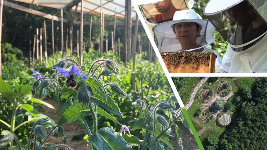 Domaine AbracadaRoom : Ô Saveur de l'instant - Image 10